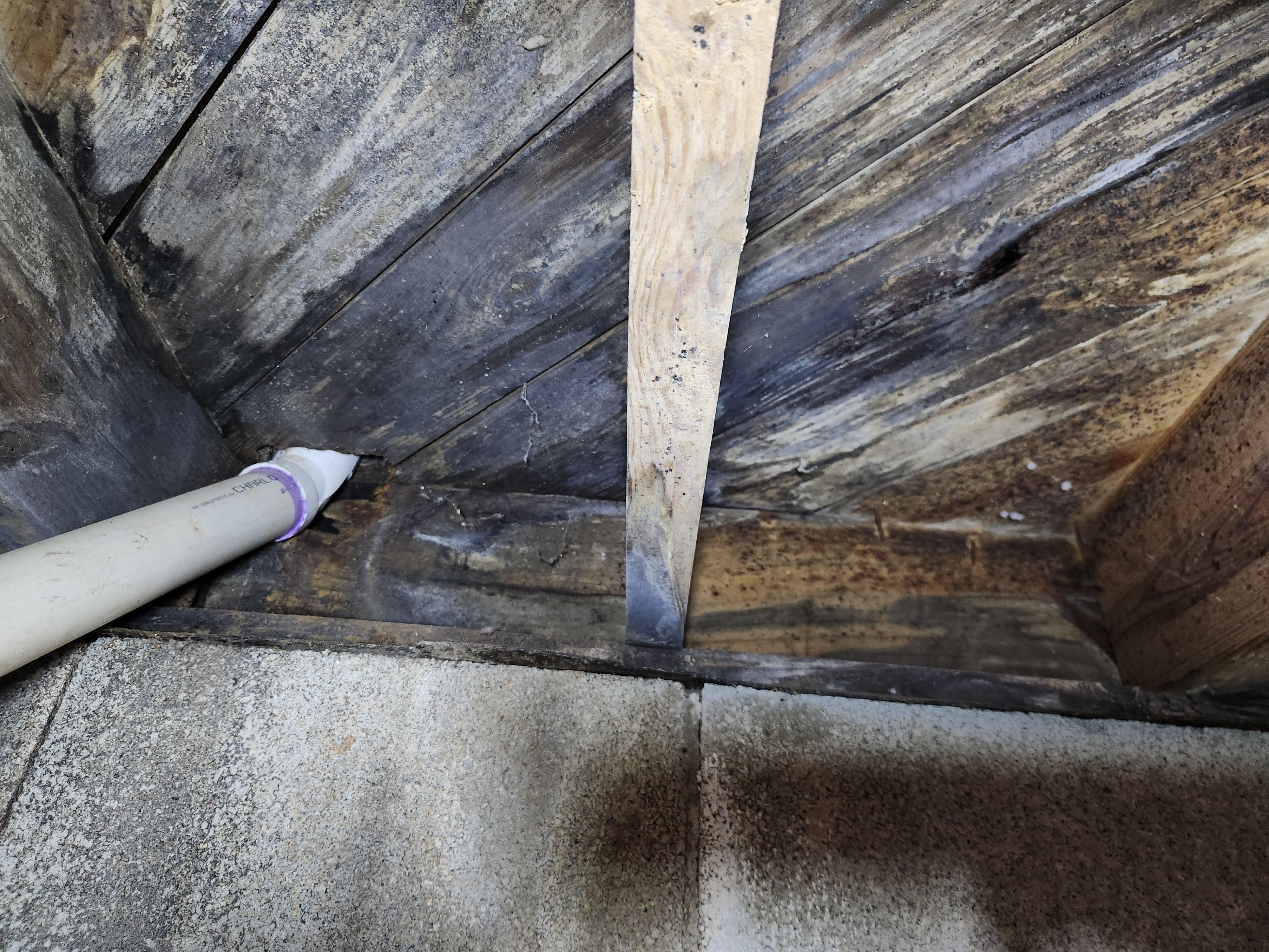 Crawl Space Mold Removal