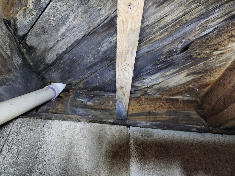 Crawl Space Mold Removal